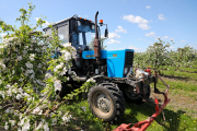 ОАО «Агро-сад «Рассвет» Брестского района славится своими яблоками и высокими удоями