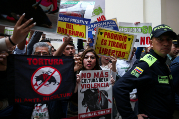 Конгресс Колумбии проголосовал за запрет корриды