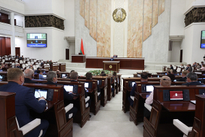 Законопроект об очередной амнистии принят депутатами сразу в двух чтениях на заседании Палаты представителей