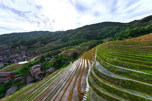 Фотофакт. Летние пейзажи террасных полей в китайском поселке Лунцзи