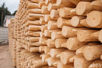 За 5 месяцев 2024 года лесхозы отгрузили почти 4 млн кубометров деловой древесины отечественным переработчикам