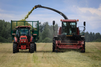 В Гомельской области наращивают темпы заготовки травяных кормов