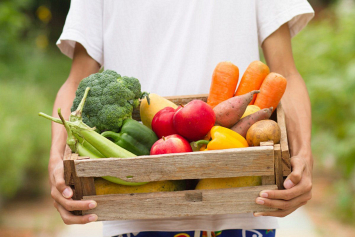 Как выращивать овощи без вреда для здоровья