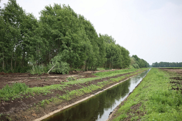 В Брестской области в оборот планируют ввести почти 30 тысяч гектаров мелиорированных земель