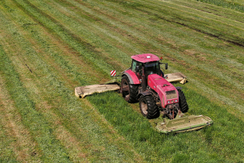 В сельхозорганизациях Беларуси скошен 71 процент трав 