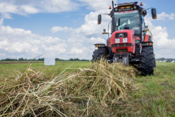 В Гомельской области заготовлено 353,7 тысячи тонн сенажа — 27 процентов от плана