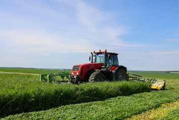 В Беларуси скошено почти три четверти трав 
