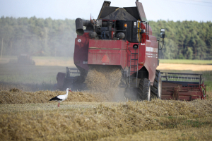 В хозяйствах Гродненской области готовность зерноуборочной техники к жатве составляет 67 %