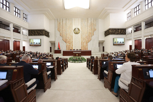 Вице-премьер: в Беларуси планируется увеличить минимальный размер пособия по беременности и родам