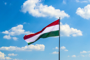 Председателем Совета ЕС до конца 2024 года стала Венгрия