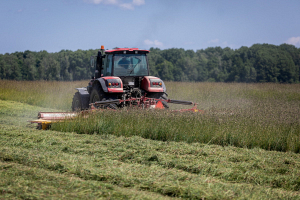 Более 36 процентов трав второго укоса убрано в Беларуси