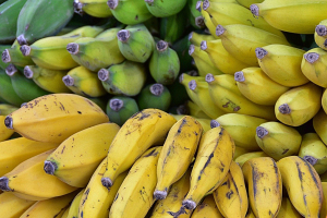 Полиция Эквадора обнаружила свыше 3 т кокаина в партии бананов, направлявшейся в Россию