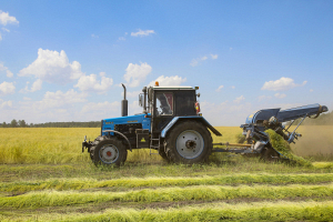 Три области Беларуси приступили к тереблению льна