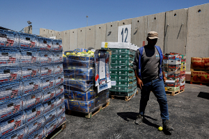 СМИ: в Египет с октября 2023 года доставлено свыше 700 тыс. тонн помощи для сектора Газа