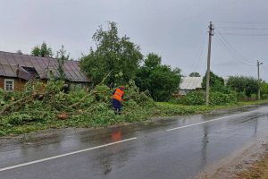 Из-за непогоды в Беларуси электроснабжение было нарушено в 1960 населенных пунктах