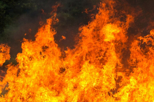 В ЮАР из-за лесных пожаров погибли не менее 14 человек