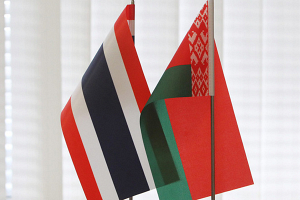Беларусь и Таиланд намерены наладить сотрудничество в IT-сфере