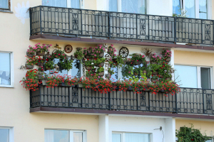 В Минске выберут самые красивые балконы и палисадники 