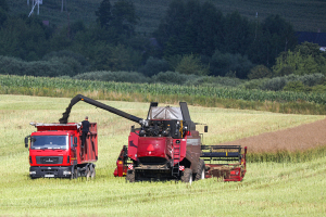 Белорусские аграрии собрали более 2,1 миллиона тонн зерна с учетом рапса