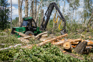 В Гомельской области с поврежденных стихией участков заготовили более 3,2 тыс. куб. м древесины