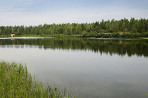За выходные в Могилевской области утонули три человека