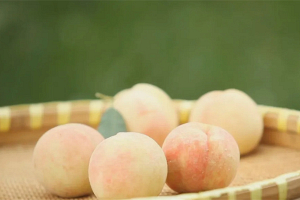 Фотофакт. Китайский Яншань зарабатывает 2 млрд юаней в год на выращивании персиков