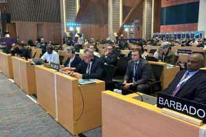 Минприроды выступило на 46-й сессии Комитета ЮНЕСКО с речью о сохранности Беловежской пущи