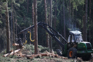 Пархомчик: предстоит переработать более 4 миллионов кубометров поваленной древесины