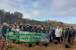 Коллектив Конституционного Cуда во главе с Петром Миклашевичем высадил 3 гектара деревьев в Вилейском районе 