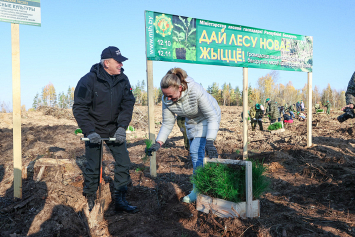 К акции Минлесхоза «Дай лесу новае жыццё!» уже присоединилось более 44 тысяч человек