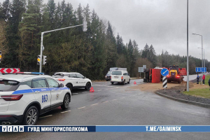 В Минске водитель грузовика хотел избежать наезда на косулю — машина опрокинулась