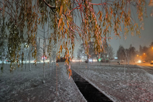 Фотофакт. Гомель засыпало первым снегом