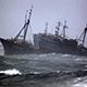 У берегов Японии потерпело бедствие судно с Тайваня