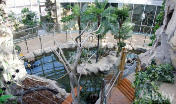В экзотариуме Минского зоопарка будут проводиться экологические квесты для детей 