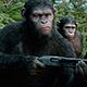 Ученые доказали, что склонность к насилию передалась людям от приматов