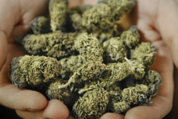 Около 4 килограммов марихуаны нашли дома у жителя Чечерска  