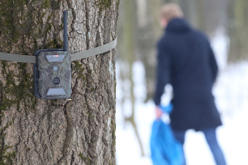 За прошлый год фотоловушки в лесах помогли выявить 166 нарушений