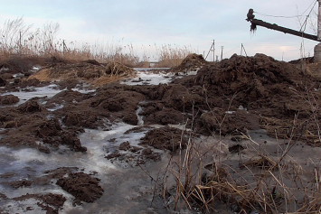 Стоки с ферм сбрасывали в водоохранные зоны рек в Шарковщинском районе