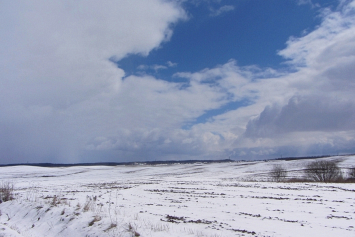 Как хозяйства Беларуси борются с последствиями капризов погоды