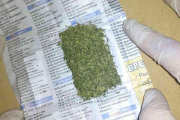 У жителя столичной Серебрянки дома нашли марихуану