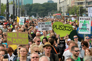 ЮНЕСКО призывает Польшу немедленно прекратить вырубку в Беловежской пуще и допустить миссию экспертов