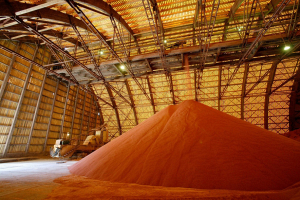 Как изменит долю Беларуси на мировом рынке калийных удобрений появление Нежинского ГОК