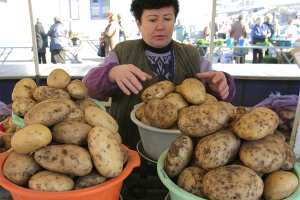 Беларуси пора возвращать лавры картофельной державы
