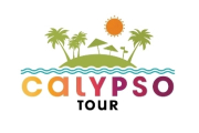 Скандал вокруг «Калипсо Тур»: директор задержан