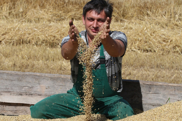 По состоянию на вчера зерновые и зернобобовые культуры были убраны с 1.108,7 тысячи гектаров