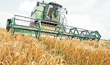 Намолочено более пяти миллионов тонн зерна при средней урожайности 36 центнеров с гектара. Убрано 65 процентов зерновых
