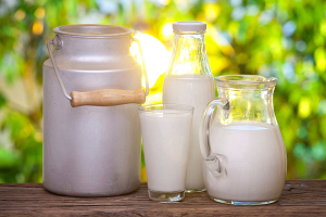 За январь-июль сельхозорганизации увеличили производство молока на три процента, а скота и птицы – на 3,3 процента