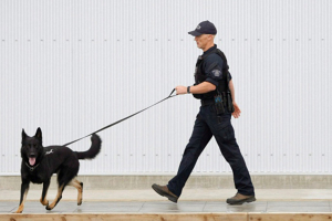 В Канаде полицейская собака во время погони выстрелила из пистолета