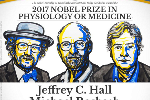 Нобелевскую премию по медицине вручили исследователям сна