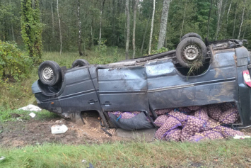 22-летняя девушка не справилась с управлением и ее фургон, набитый картошкой, перевернулся (фото)
